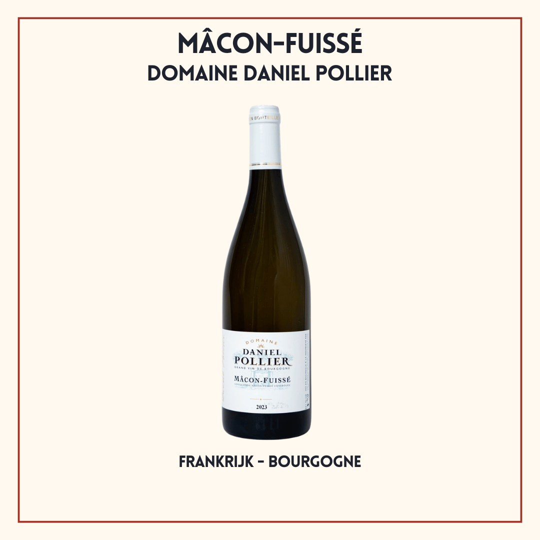 Fles Mâcon-Fuissé van Domaine Daniel Pollier, bloemige witte Chardonnay uit de Bourgogne (Mâconnais), Frankrijk