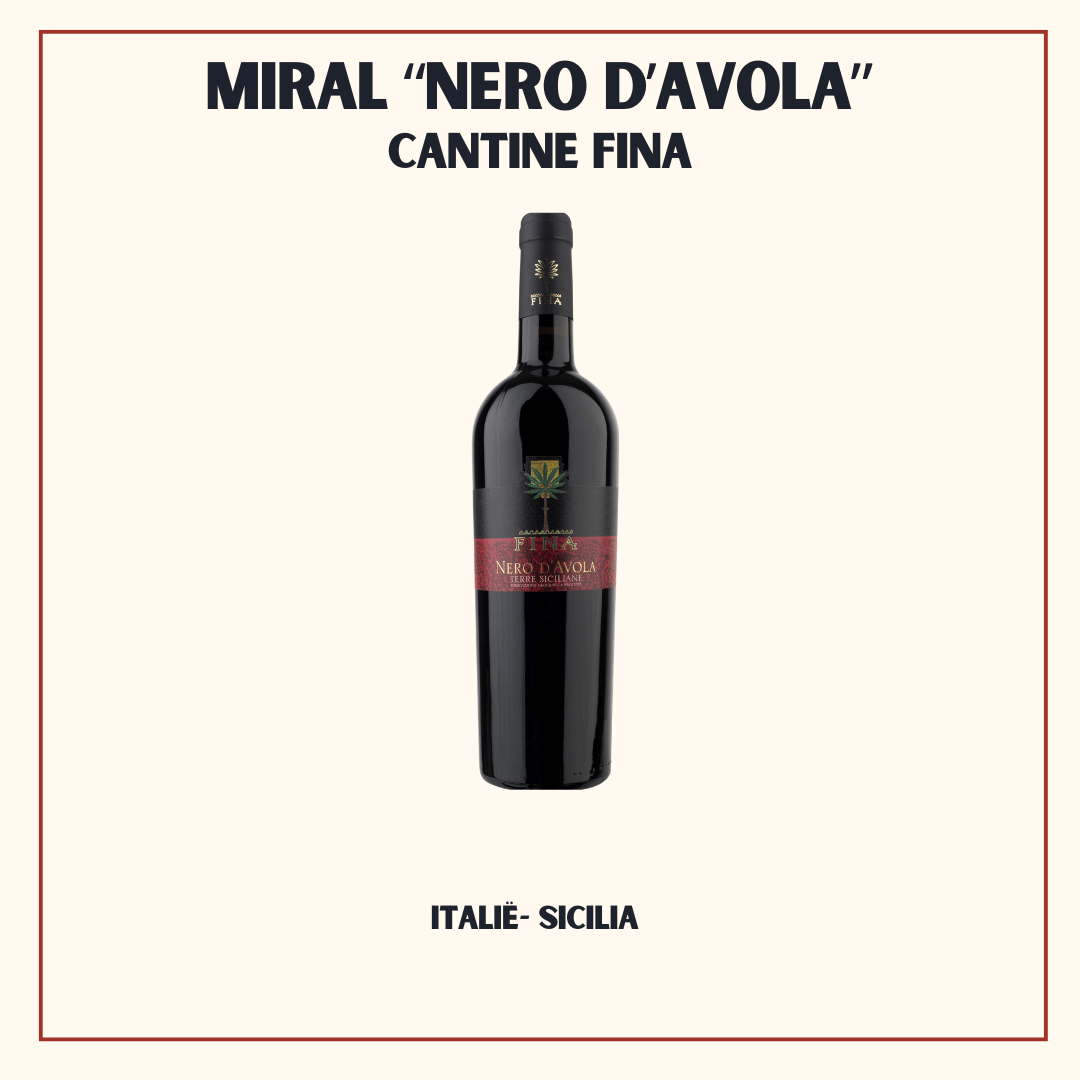 Fles Nero d'Avola van Cantine Fina, warme fluweelzachte biologische rode wijn uit Sicilië (Marsala), Italië