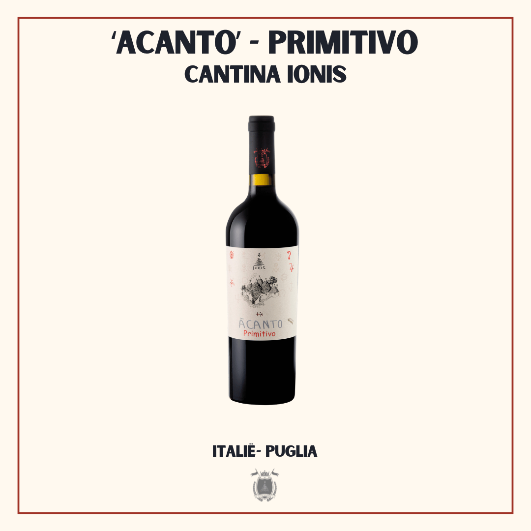 Fles Acanto Primitivo van Cantine Ionis, warme gulle rode Puglia van oude Primitivo-stokken uit het Salento, Italië