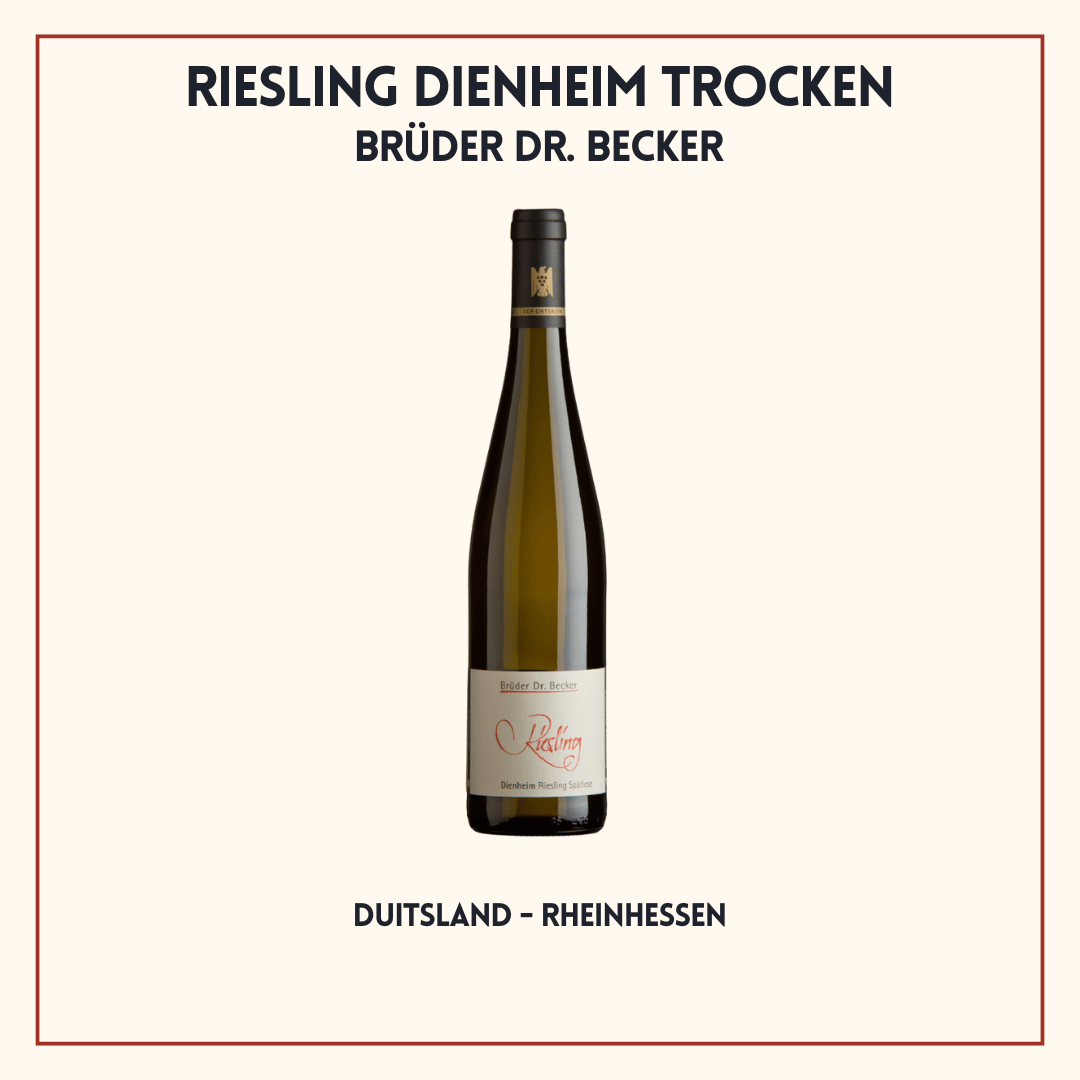 Fles Dienheim Riesling van Weingut Brüder Dr. Becker, elegante droge Riesling uit Rheinhessen, Duitsland